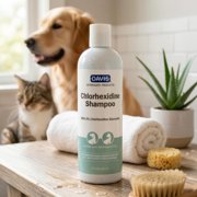 Chlorhexidine Shampoo 2% 12oz