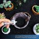 thumbnail image 3 of Dispensador de semillas, Mini jardinera, herramientas de jardín, horticultura, germinación, 2 uds., 3 of 5
