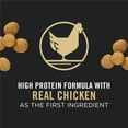 thumbnail image 3 of Purina Pro Plan Development Large Breed Chicken & Rice Formula, Dry Puppy Food, 3 of 10