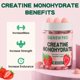 thumbnail image 3 of Gomitas de monohidrato de creatina DANEW PRO 5000 mg (120 unidades), 3 of 7