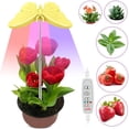 thumbnail image 4 of 2 Packs Butterfly Plant Grow Light, LEDs Full Spectrum Grow Light, Height Adjustable, 3 Lights Modes, Auto Timer, 4 of 7