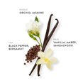 thumbnail image 3 of Perfume ETLEÉ Toasted Vanilla Eau de Parfum, 10 ml, para mujeres y hombres, 3 of 8