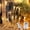 Warm White, variant on Remote Control Icicle Lights, 4M/40LED Wireless Remote Control Crystal Acrylic Fairy Lighting, for Christmas Winter Holiday Garden Party Decoration