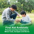 thumbnail image 3 of CareALL Bacitracin Antibiotic Zinc Ointment 0.9gr Foil Packet. First Aid Ointment to Prevent and heal infections for Minor cuts, scrapes and Burns., 3 of 4