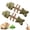 Mint, variant on 2026 New Creative Catnip Silvervine Chew Toy,Natural Fishbone Catnip & Silvervine Chew Stick for Cats, Wooden Interactive Dental Care Chewing Plaything