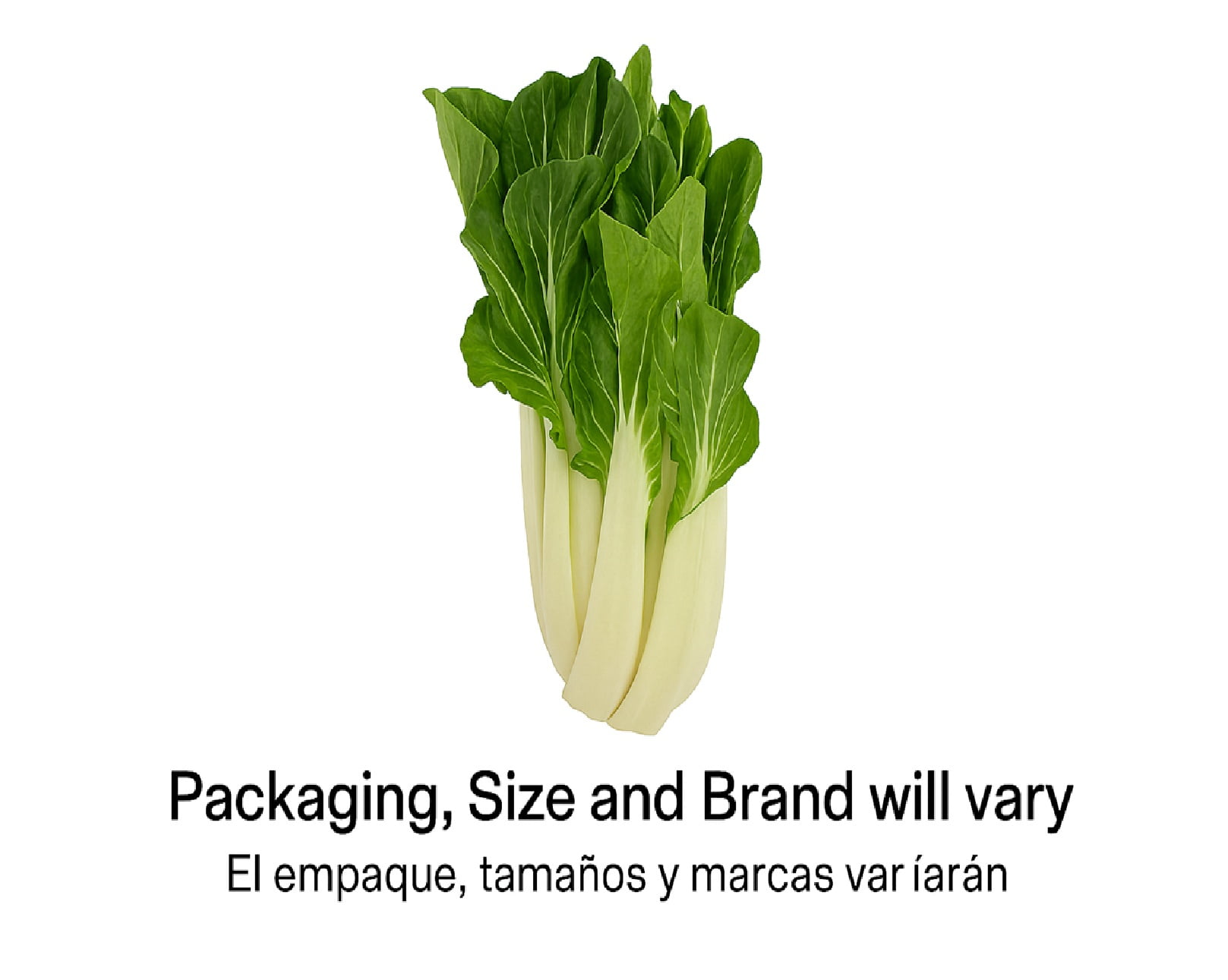 Fresh Whole Bok Choy 1 Each, Fresh Produce