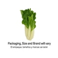 thumbnail image 2 of Fresh Whole Bok Choy 1 Each, Fresh Produce, 2 of 9