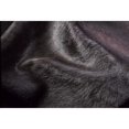 thumbnail image 2 of Natural Geneva Cowhide Rug Black 6x7 1-Piece Large Area Rug, 2 of 2