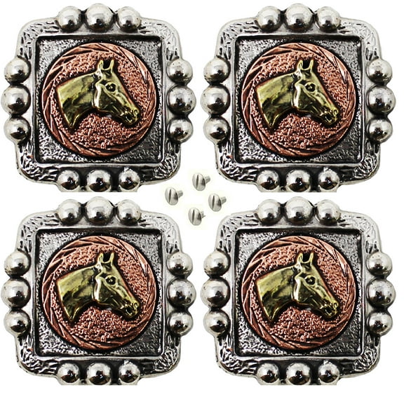 Set of 4 Conchos Screws Western Saddle Tack Bridle Copper Engraved Horse Co549
