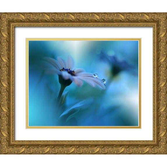 Nan, Juliana 14x12 Gold Ornate Wood Framed with Double Matting Museum Art Print Titled - Beyond the Visible...
