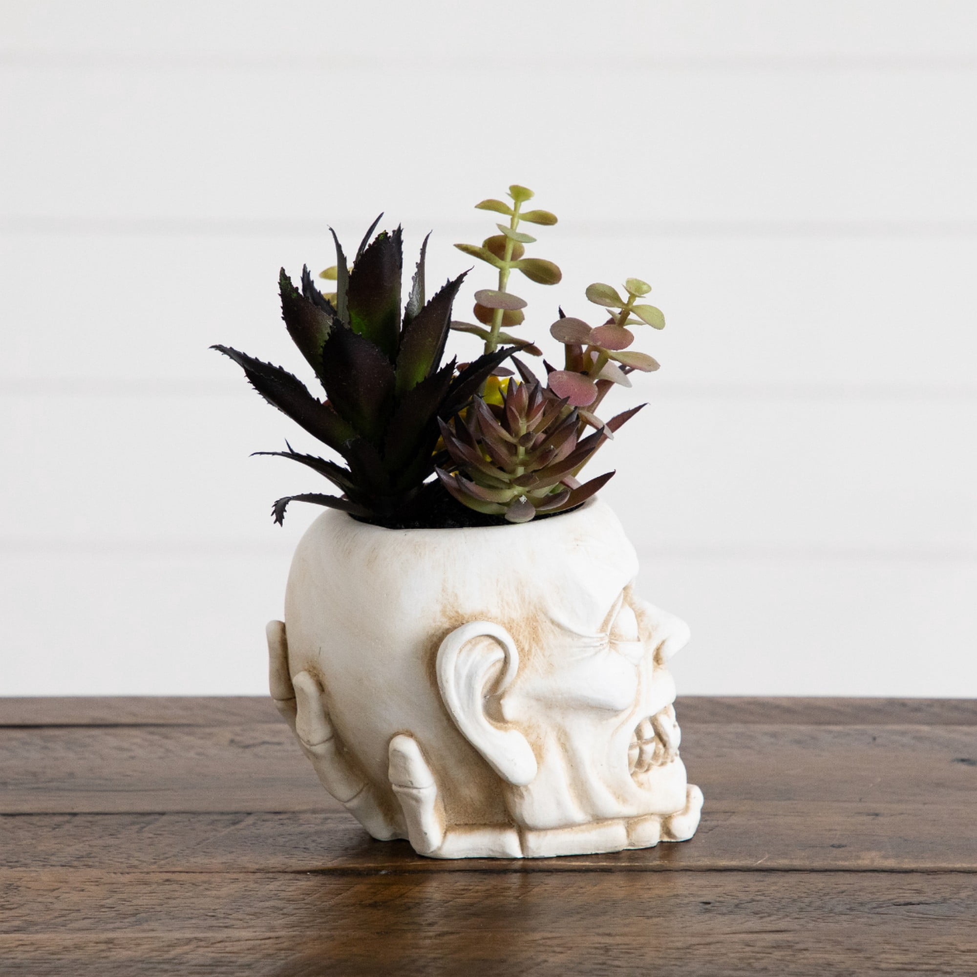 8in. Artificial Halloween Succulent Garden in Zombie Halloween Planter