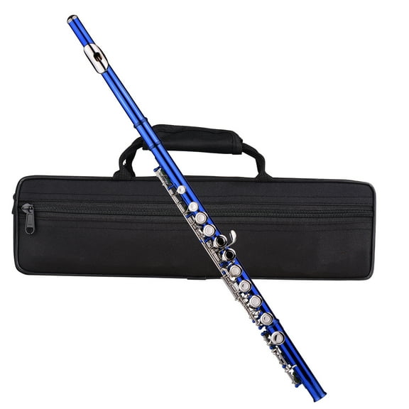 Flute,Flute Stand Cloth Carry Flute Stand Flute 16 Cupronickel With Carry Flute Cupronickel Nickel-plated Wind C Flute 16 Rod Plated Flute C Flute Lsfyyds C Duodo Nickel Plated Siuke Dark