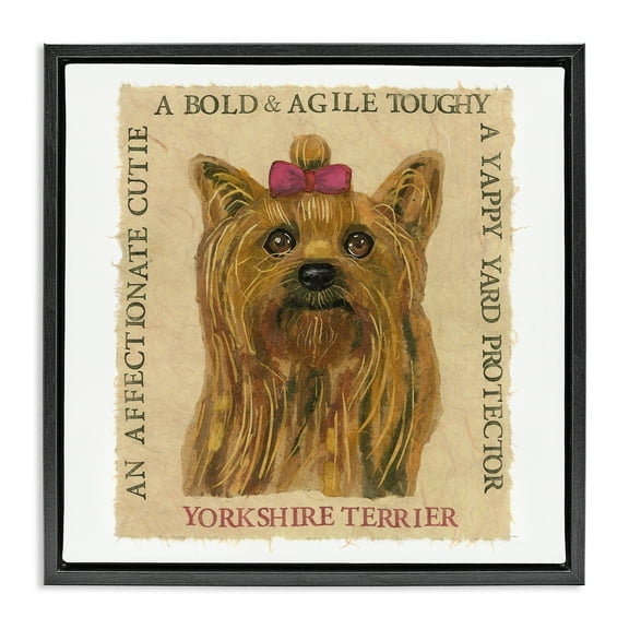 Stupell Industries Fun Yorkshire Terrier Phrases Animals Painting Black Floater Framed Canvas Art Print Wall Art, 18 x 18