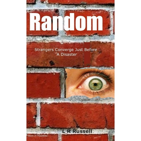 Possibles: Random : Strangers Converge Just Before A Disaster (Series #2) (Paperback)