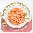 thumbnail image 4 of Purina Fancy Feast Appetizers Wet Cat Food, Steamed Alaskan Salmon, 1.1 oz Trays, 10 Pack, 4 of 10