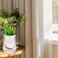 thumbnail image 3 of Jarrón de absorción de agua automático de 2 piezas con asa, florero, botella de flores, decoración hidropónica, 3 of 6