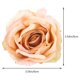 thumbnail image 5 of WEUVEB 2Ud Abrazadera Para Con Fijación Fuerte Ideal Para Transparentes, 5 of 6