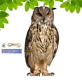 thumbnail image 3 of Bird Repel Scarecrow, Owl Scarecrow Scarer Pendant, Decorative Scarer Pendant with Bell, Fake Bird Scare Device, Waterproof Patio Balcony Garden Decorations, 3 of 10