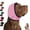 Pink, variant on Snugpup Ear Wrap, Snugpup Ear Muffs, Soundproof Noise-Reducing Wrap with Adjustable Velcro Straps, Soft, Breathable, And Machine-Washable Fabric, Stretch Fabric,Ideal for Dogs