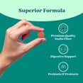 thumbnail image 5 of BeLive Synbiotics - Probiotic & Prebiotic Fiber Gummies Supplement – High Strength Inulin (3g), Digestive Support for Kids & Adults - Strawberry, Orange, Blueberry Flavor (60Ct), 5 of 9