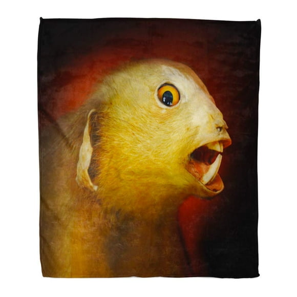 NUDECOR 50x60 inch Super Soft Throw Blanket Fierce Chupacabra Bigfoot Sasquatch Yeti Other Mysterious Photographic Home Decorative Flannel Velvet Plush Blanket