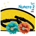 thumbnail image 3 of Collar Para Perro Pequeño Terciopelo Flor Set 2 Pzs Mascotas, 3 of 7