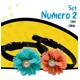 thumbnail image 3 of Collar Para Perro Pequeño Terciopelo Flor Set 2 Pzs Mascotas, 3 of 7