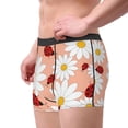 thumbnail image 4 of Kll Daisy And Ladybug Men'S Cotton Boxer Briefs Underwear-Xx-Large, 4 of 9