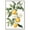 Silver Frame, variant on Lemon and Leaf Fusion II Canvas Vintage Prints by Art Remedy, Gallery Wrapped, 24" x 36"