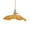 orange, variant on oshhni Flower Pendant Light Classic Hanging Lamp for Kitchen Restaurant Dining Room Light brown