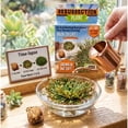 thumbnail image 3 of Ancient Resurrection Plant - An Everlasting Evergreen That Keeps Coming Back to Life - Grows in One Day - Last Up to 50 Years, 3 of 3