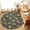 Beige, variant on Entryway Rug 2'x3', Summer Lemons Kitchen Runner Rugs Non-Slip Carpet Mats, Vintage Fruits Flowers Black Striped Bedside Rugs Runners Washable Floor Carpet for Bathroom Laundry Room