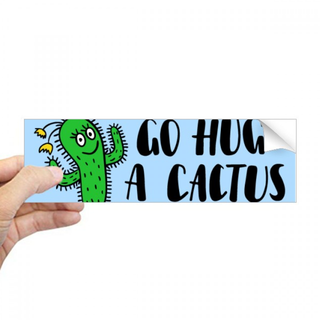 Ve a abrazar a un cactus Rectángulo Parachoques Pegatina Cuaderno Ventana Calcomanía
