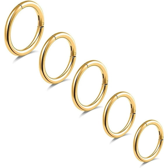 5Pcs G23 Titanium Nose Rings 16G/18G/20G Hinged Clicker Segment Nose Rings Hoop Lip Septum rings Multi-Color Tragus Cartilage Sleeper Earrings 6mm 7mm 8mm 9mm 10mm Hypoallergenic Nose Rings