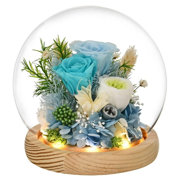 Valentines Day Roses Gifts for Her, Rose in Glass Dome with LED Light - Gifts for Women Mom Grandma Her Girlfriend Wife
