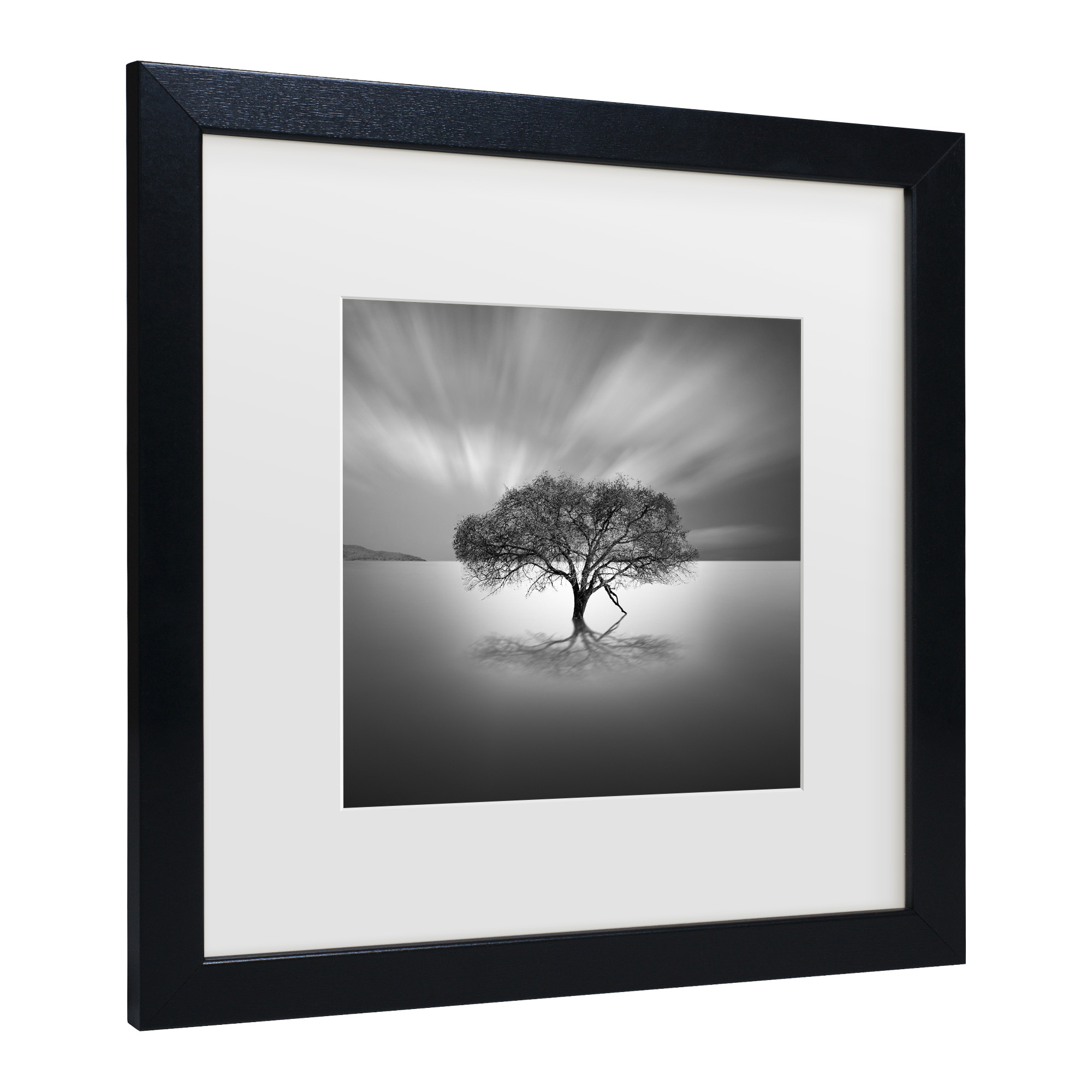 Trademark Fine Art "Water Tree VIII" Canvas Art by Moises Levy White Matte, Black Frame