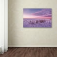 thumbnail image 3 of Trademark Fine Art 'Field of Frost' Canvas Art by Philippe Sainte-Laudy, 3 of 3