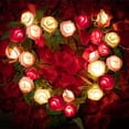 thumbnail image 5 of Guirnalda de luces LED con forma de rosa, alimentada por USB y con batería, de 10 a 80 LED, para San Valentín, bodas, habitaciones, jardines, decoración navideña, 5 of 5