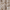 Beige, variant on Achim Tranquil - Lined Grommet Window Curtain Panel, Mist, 50x63