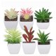 thumbnail image 1 of Pot Carr Sincero Plastique Pour Plantes Succulentes Ensemble De 6 Pices, 1 of 5