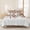 White, variant on 3 Pieces Queen Quilt Set,Sunflower Fall Eucalyptus Leaves Seamless Soft Bedding Sets with 1 Quilt&2 Pillow Shams,Happy Thanksgiving Fallen Leaf Summer Bedspread Lightweight Coverlet Comforter