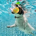 thumbnail image 2 of Pelota de juguete interactiva para perros, pelota para perros, pelota de juguete automática con ruedas para gatos, 2 of 5