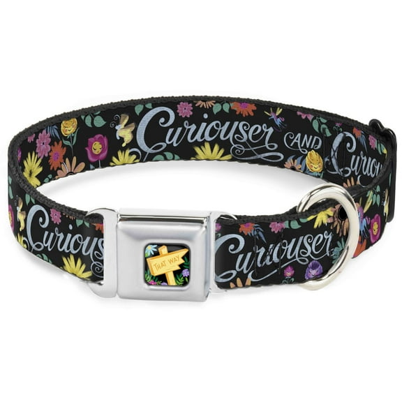 Disney Pet Collar, Dog Collar Metal Seatbelt Buckle, Curiouser And Curiouser Flowers of Wonderland Collage, 15 to 24 Inches 1.0 Inch Wide