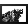 thumbnail image 2 of Millet, Karyn 24x17 Black Modern Framed Museum Art Print Titled - Stone Lion, 2 of 5