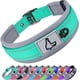 thumbnail image 1 of Collar para perros Joytale acolchado de neopreno ajustable para perros grandes, 1 of 5