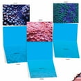 thumbnail image 5 of Pack of 10 Thank You Gratitude Note Cards with Envelopes (4 x 5.12 Inch) - UNDER THE SEA M2103, 5 of 6
