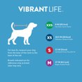 thumbnail image 4 of Vibrant Life Dog and Cat Clothes, Sherpa Contrast Yoke Pet Jacket, Blue, XS, 4 of 8