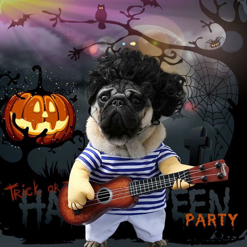 Halloween Perros Pug Vestidos Tailor Made Black Suit, Crop Black