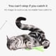 thumbnail image 3 of Divertido Gato Característica Interesante Mascota Interactivo Campana Juguete Jugar Mascota Juguete Hogar Interior 5 Uds seitruly PT001592-01, 3 of 7