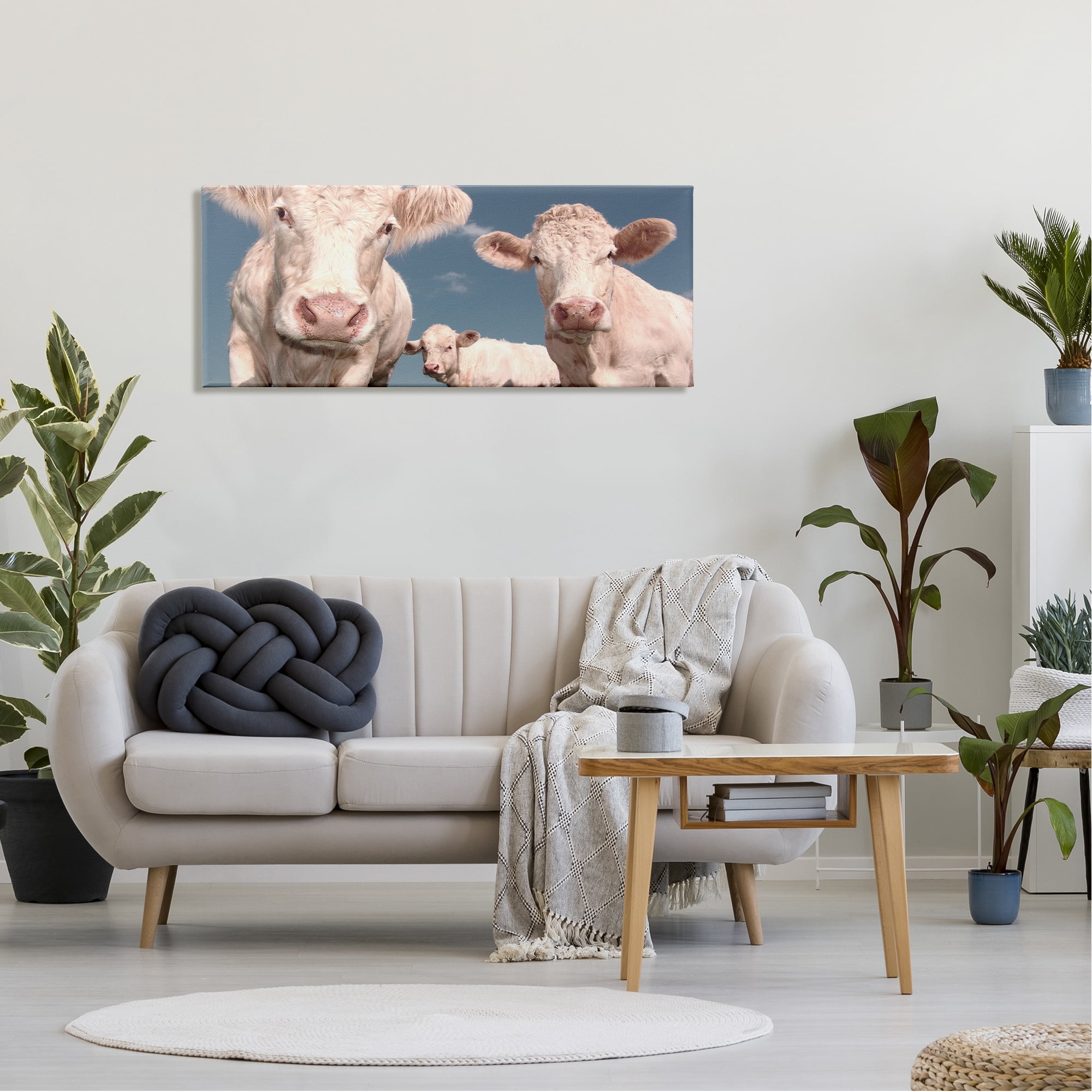 Stupell Industries Three White Cows Animals & Insects Photography Gallery Wrapped Canvas Art Print Wall Art, 48 x 20